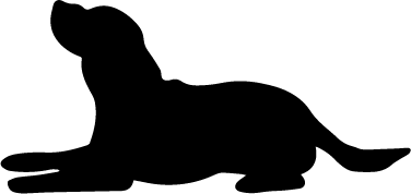 animali (16).png